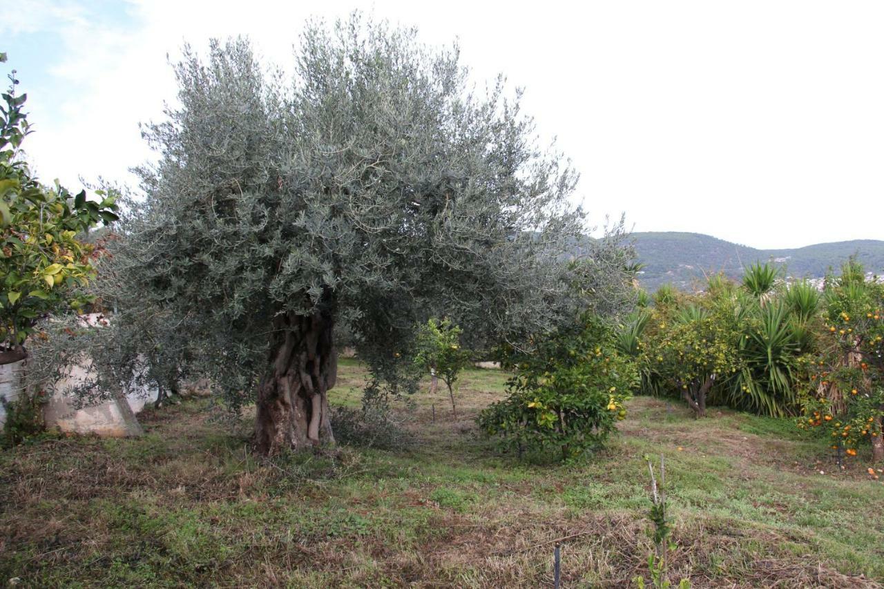 Villa Krassi Epidaurus Bagian luar foto